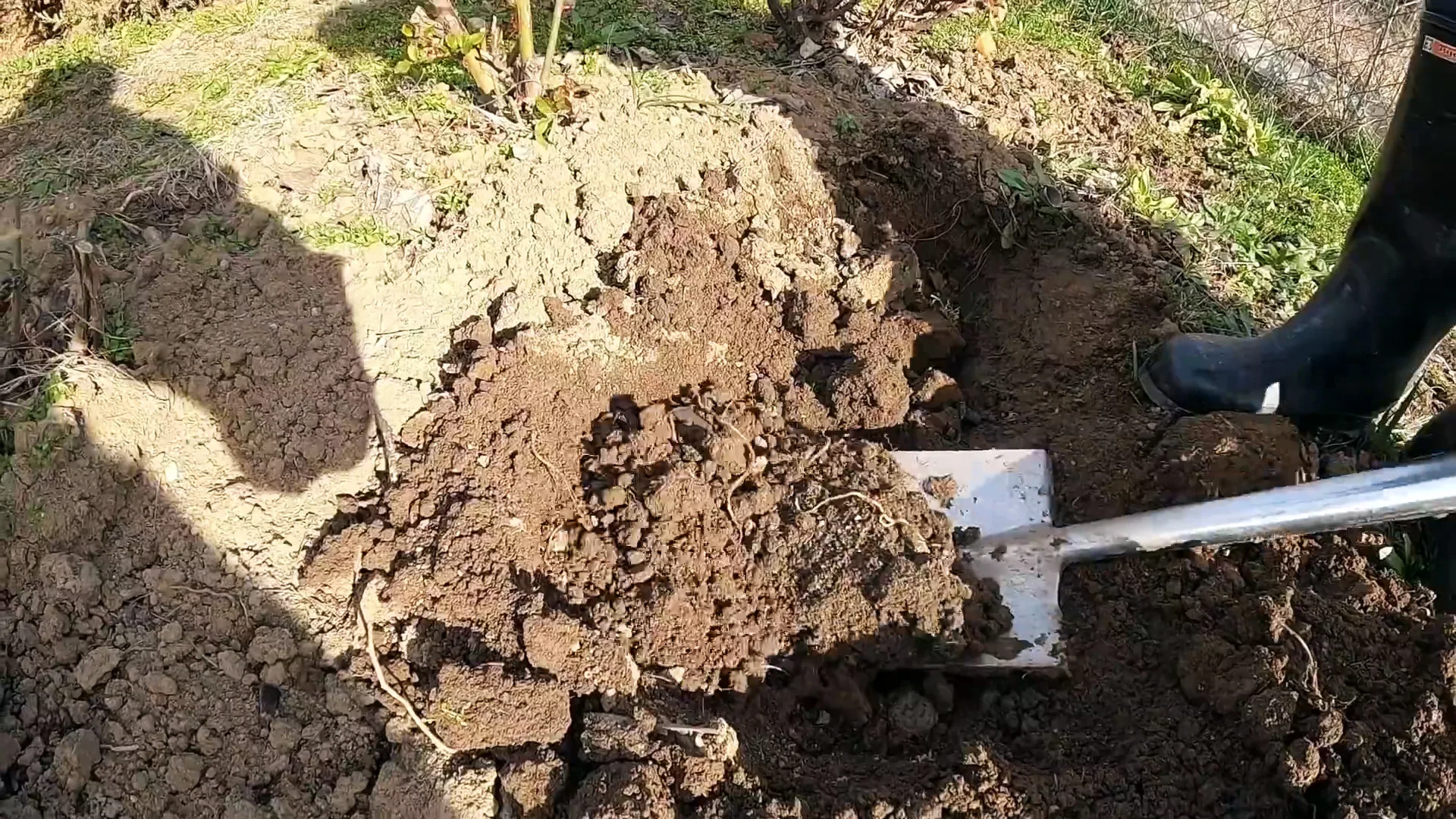 Зачем опытные огородники закапывают кухонные отходы?