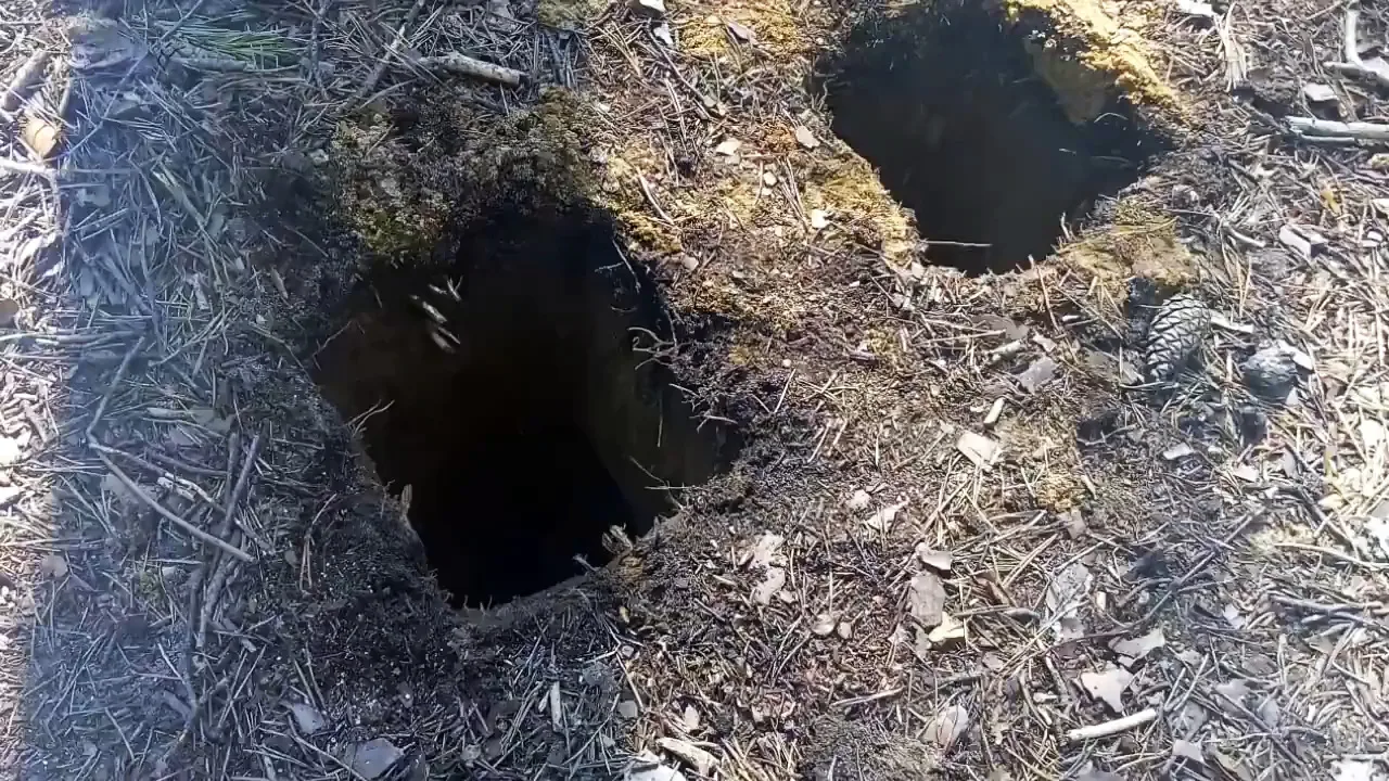 Как развести бездымный костер разведчика