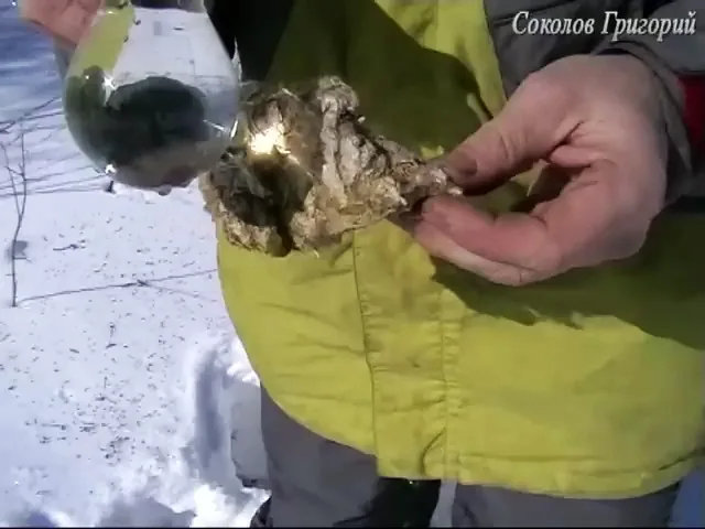 Как добыть огонь при помощи лампочки