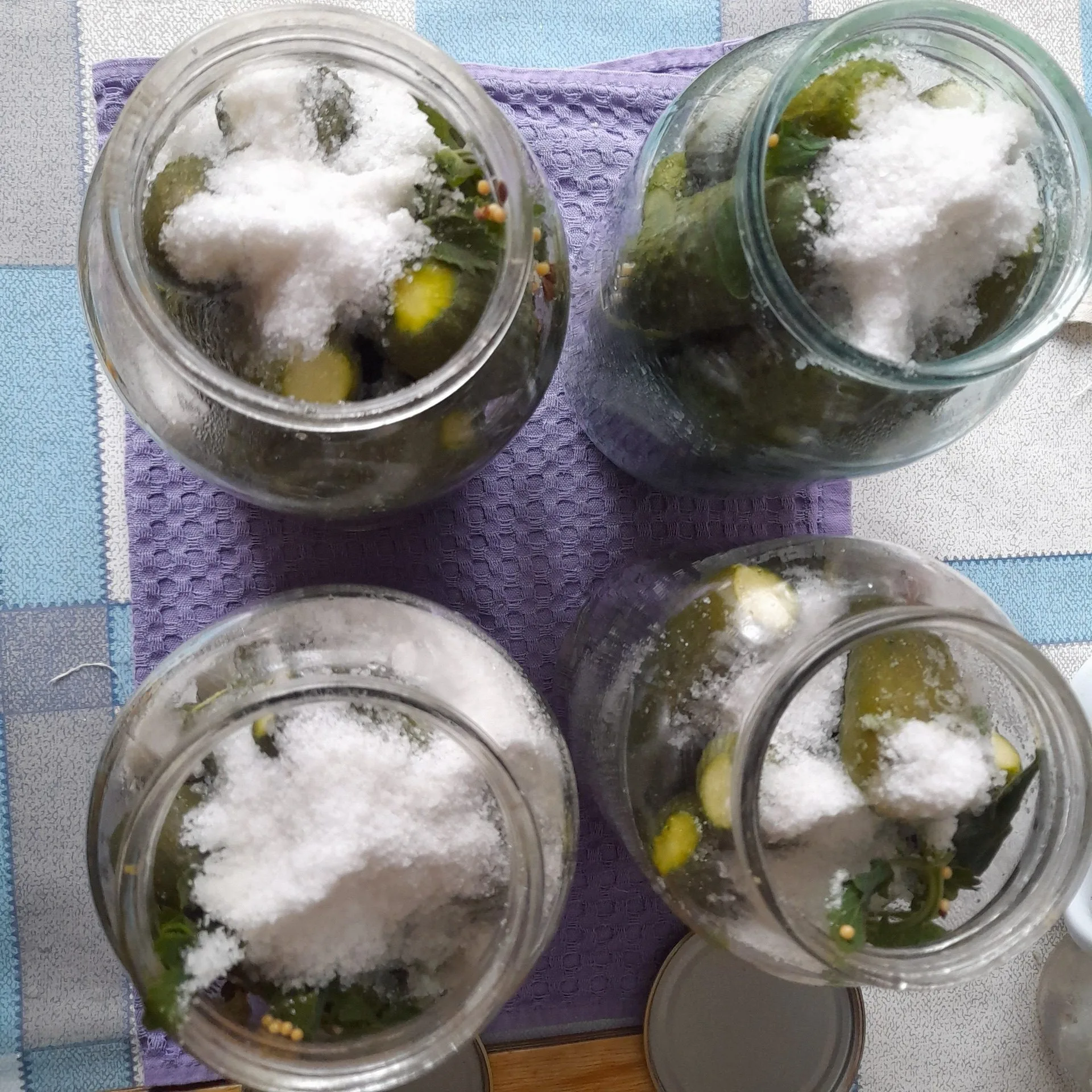 Маринованные огурцы с мятой: шаг 7